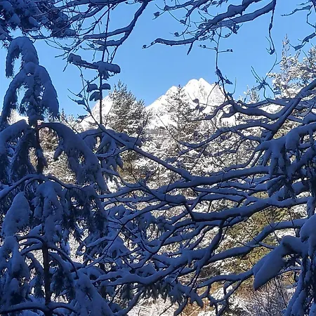 Alpehytte Pod Zubackou *