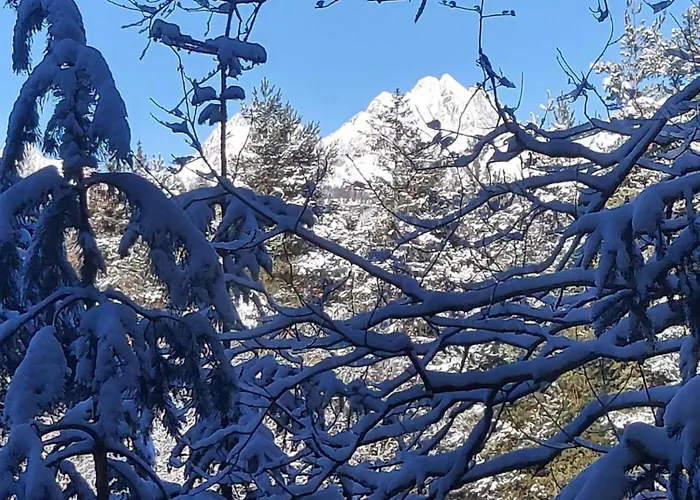 シャレー Pod Zubackou *